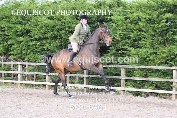 BPP_6961 - RING 1  (RIDDEN HORSES / IN HAND / VETERAN ETC)