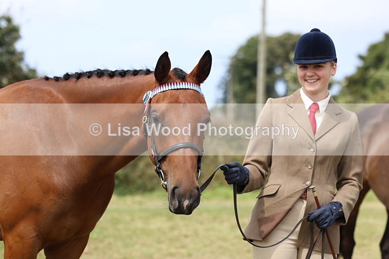 3E7A5571 - Class 20: Sports Horse In Hand