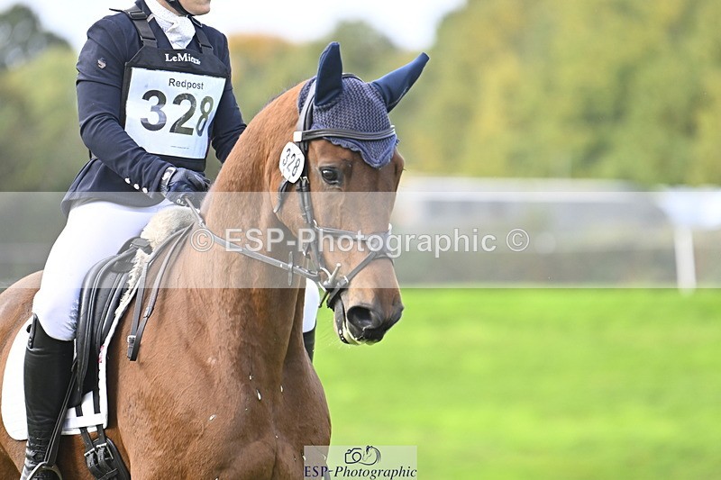 251023A-140842-04258 - D-328-Julia.Knight-Jones