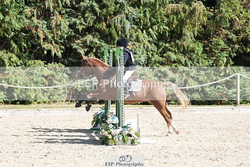 250821A-152542-17506 - WC Round 2 14.00 to End