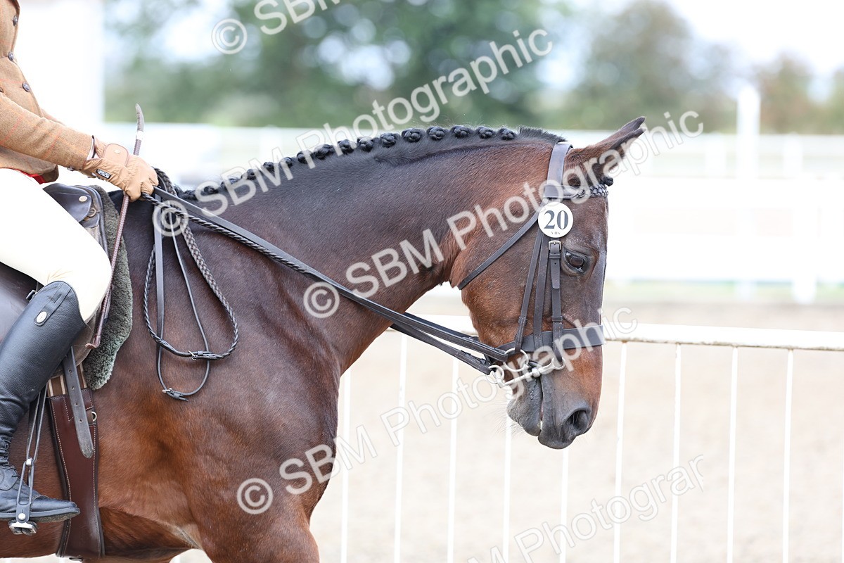 SBM_01460 - Class 52 - Ridden Veteran