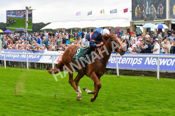 240823-Race 2-Dragon Leader-0234 - Race 2 2.25pm Goffs UK Harry Beeby Premier Yearling Stakes