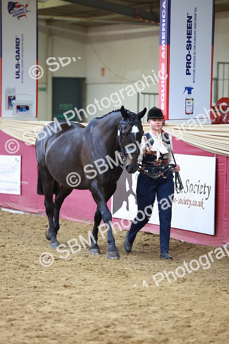 SBM_18565 - Class 903 - Sup Final - IH Pre Vet
