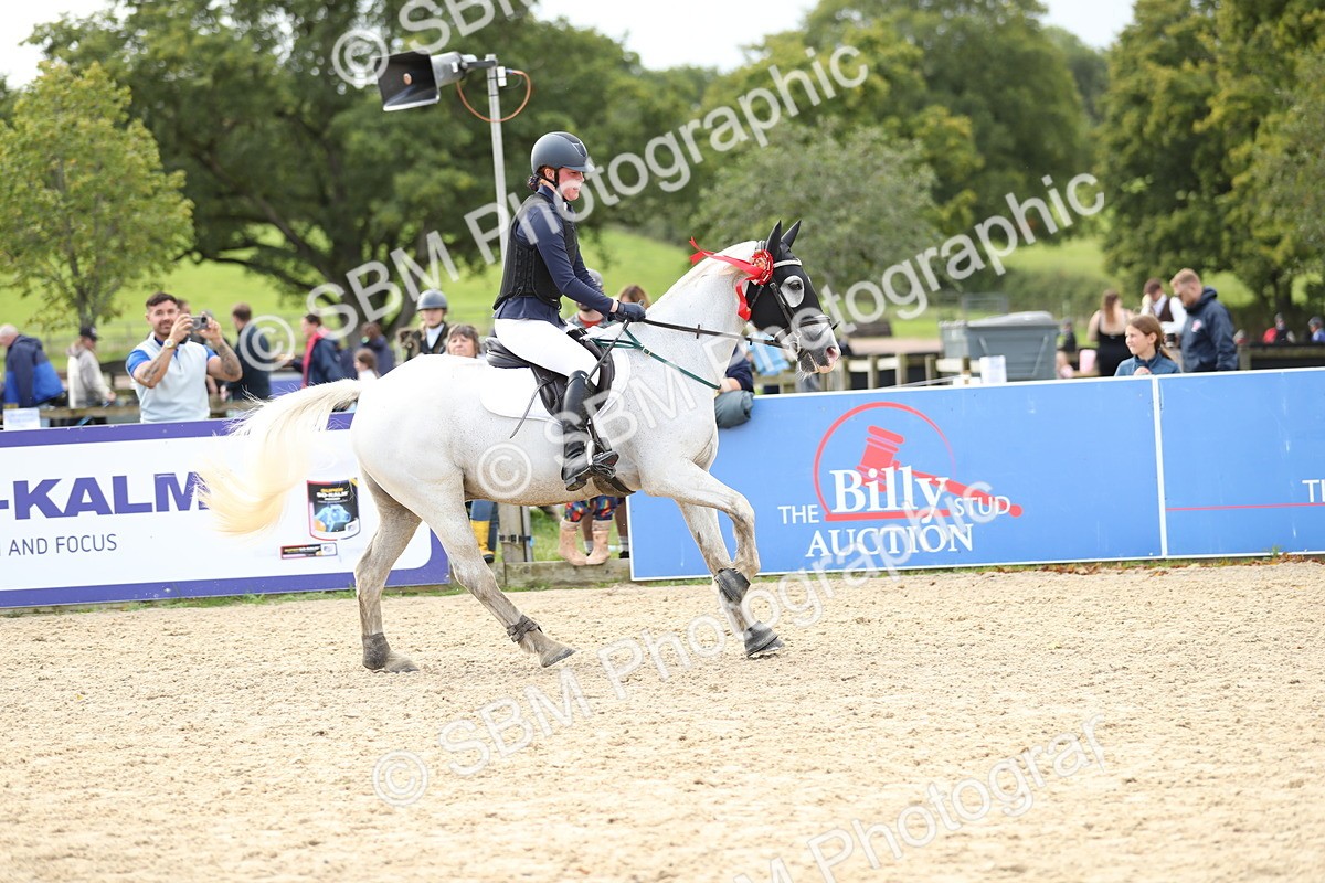 SBM_40977 - Supreme Championship 50cm 60cm