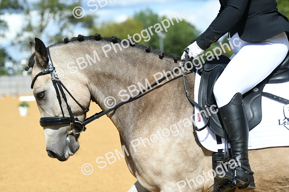 SBM_06520 - D15 Small Tour Championship Novice 24