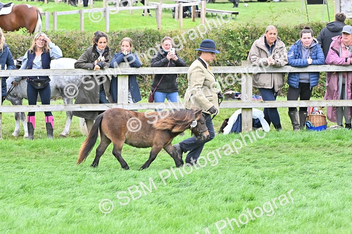 SBM_60938 - S48 - Mountain & Moorland In Hand Small Breeds
