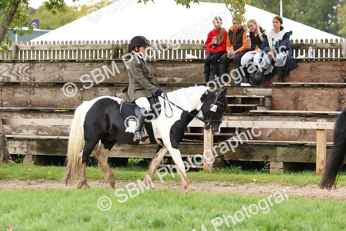 SBM_44919 - S27 - Young Veteran Ridden