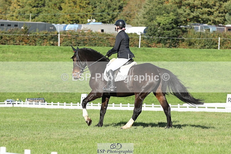 251024A-110052-07930 - D-350-Katie.Timberlake