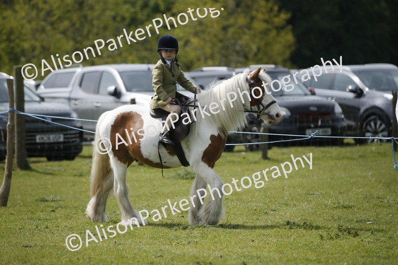 20260426-1870 - Class 7 - Pony Judge Would Most Like To Take Home