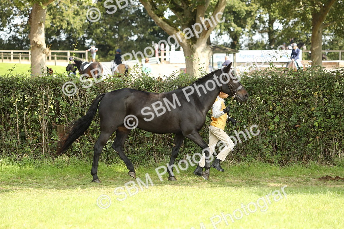 SBM_68567 - S40 - Junior Handler 9-12 Years