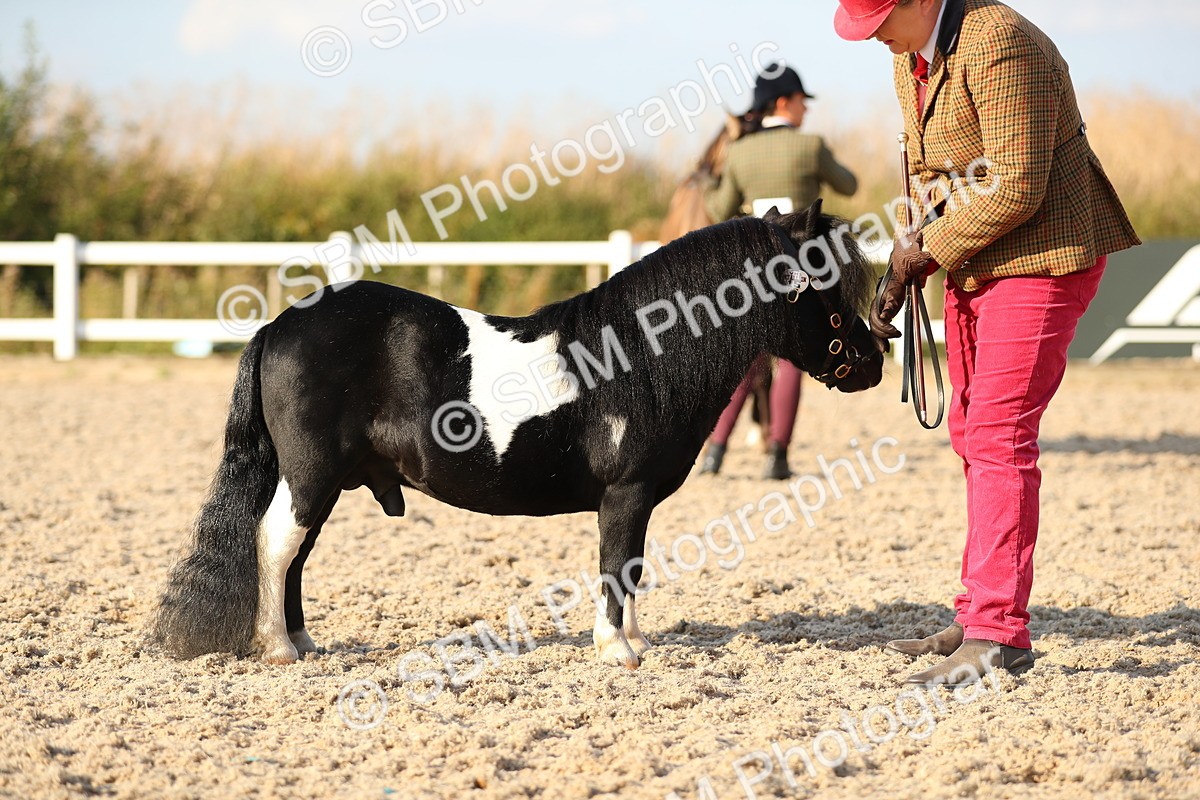 SBM_08994 - Class 29 IH Veteran Pony