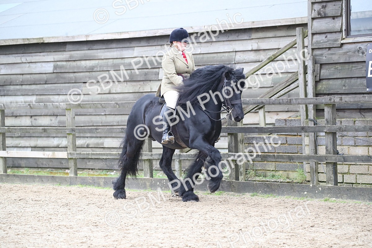 SBM_006479 - Class 10-13 - RIHS Small Large Breeds