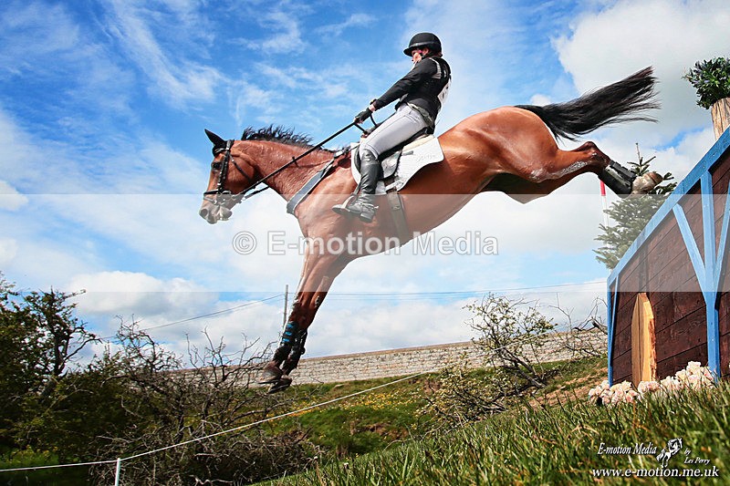 BEXCRM 160526 1749a - Equestrian