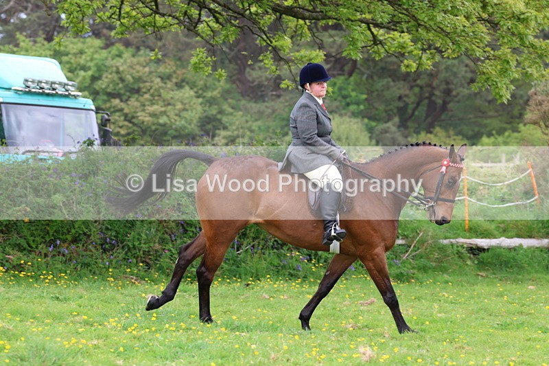 3E7A1772 - Class 9: Riding Club Horse/Pony