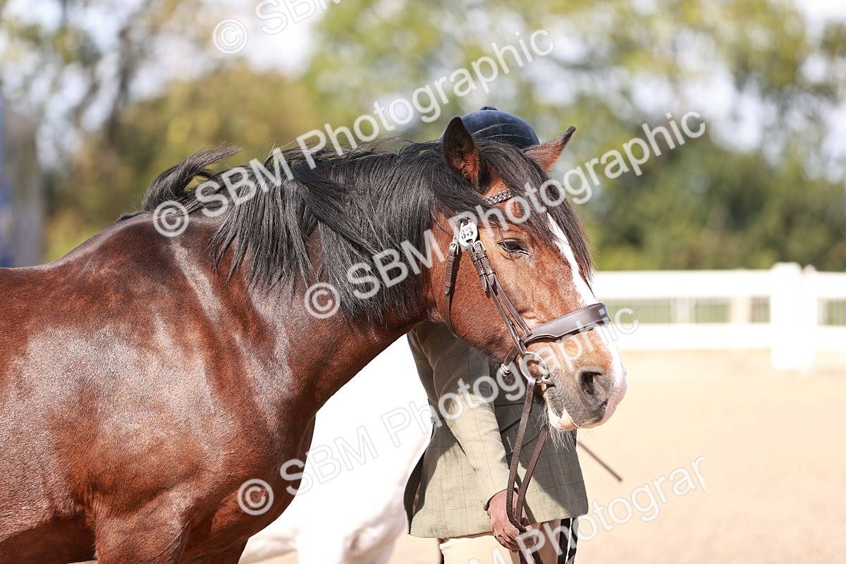 SBM_22906 - Class 706 - IH Veteran