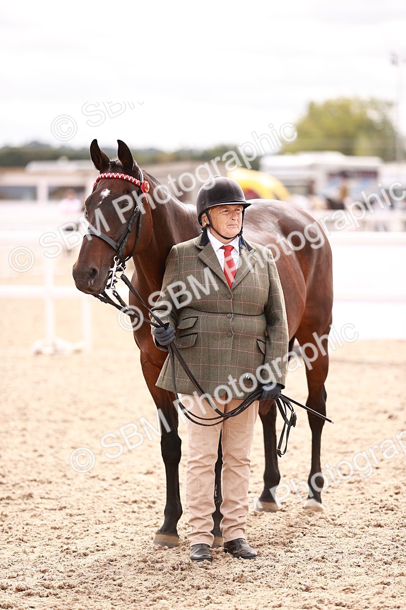 SBM_16331 - Class 413 - Best Condition - Adult