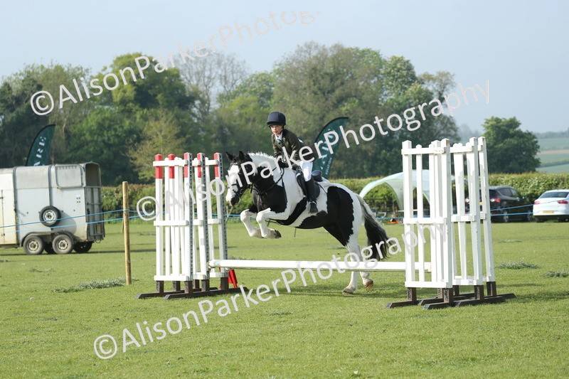 20260426-0027 - Class 13 - Rookie Jumping 50cm