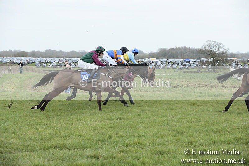 PtP 230319 102 - VWH Hunt Siddington Point-to-Point Racing 23/03/19