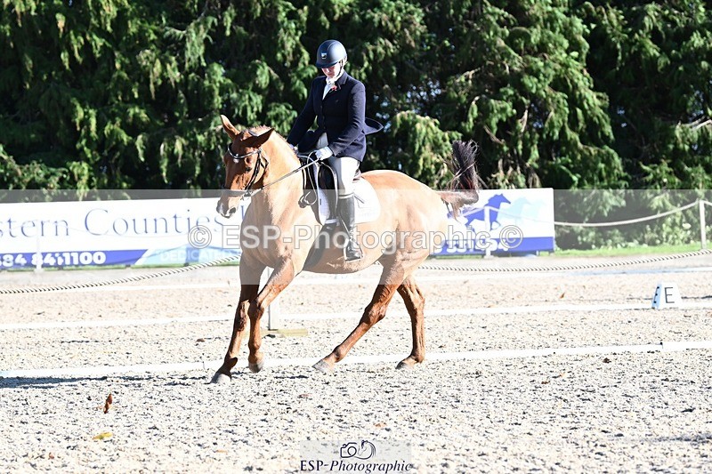 231110-131525-00891 - Cls 4 Novice 39Q