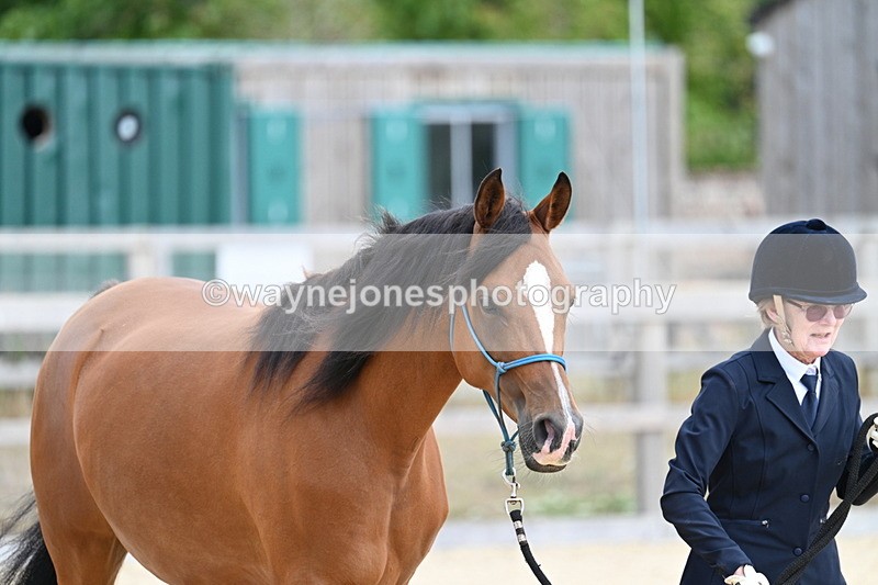 WJ7_1903 - In Hand