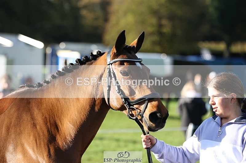 241027-092358-15262 - 373-Isabelle.Thwaite-BEACH.LADY