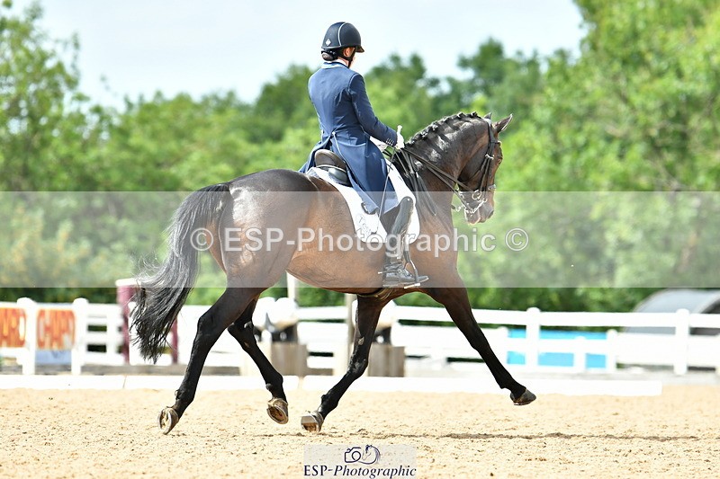 230702A-161655-11151 - Cls 37 + 42 FEI PSG + GP