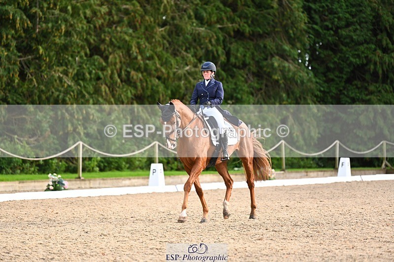 231021-161033-21038 - 264-BEST.ENDEAVOUR-Freddie.Taylor-DR