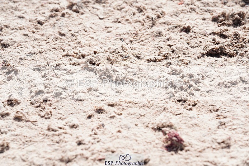 250425-120614-08727 - Cls 55 Veterans Major Tour