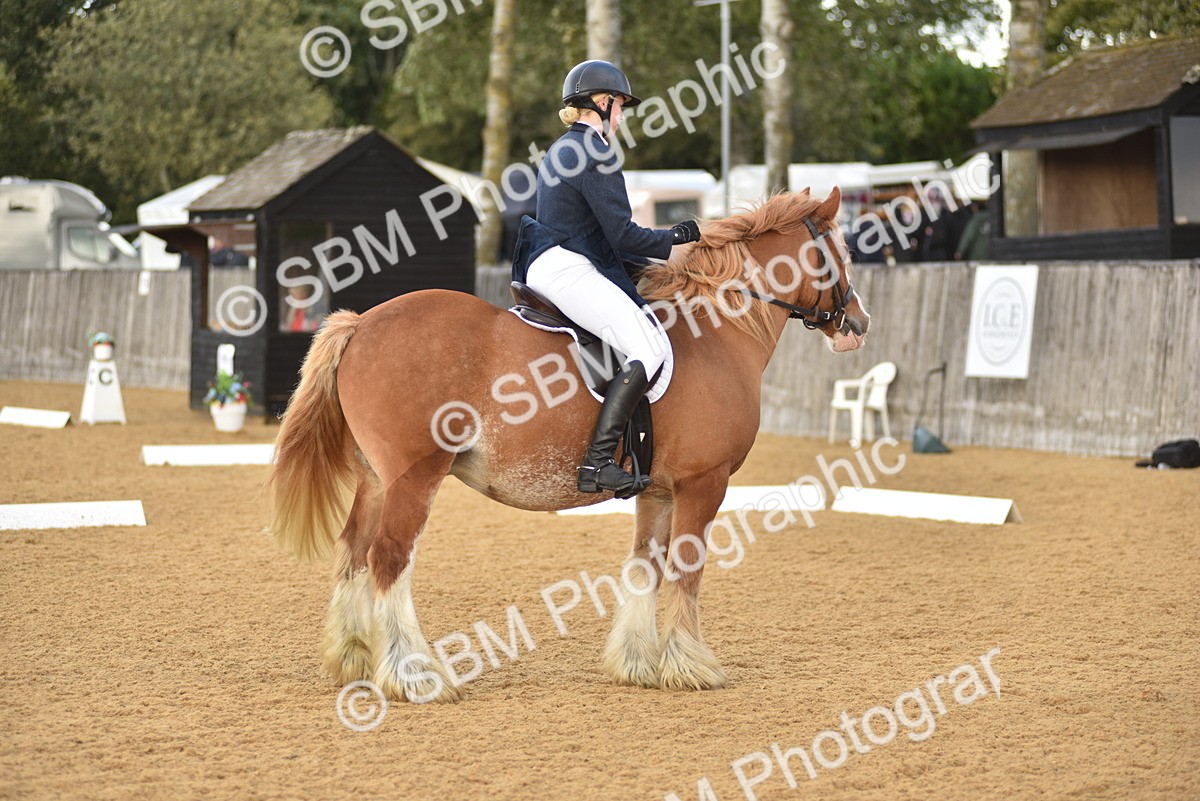 SBM_29633 - D16 -Small Tour Championship Novice 2