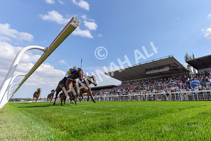 240825-Race 2-Smart Vision-0183 - Race 2