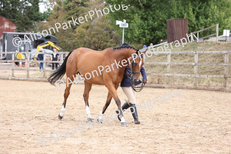 20260831-1955 - Class 5 - Retraining of Racehorses
