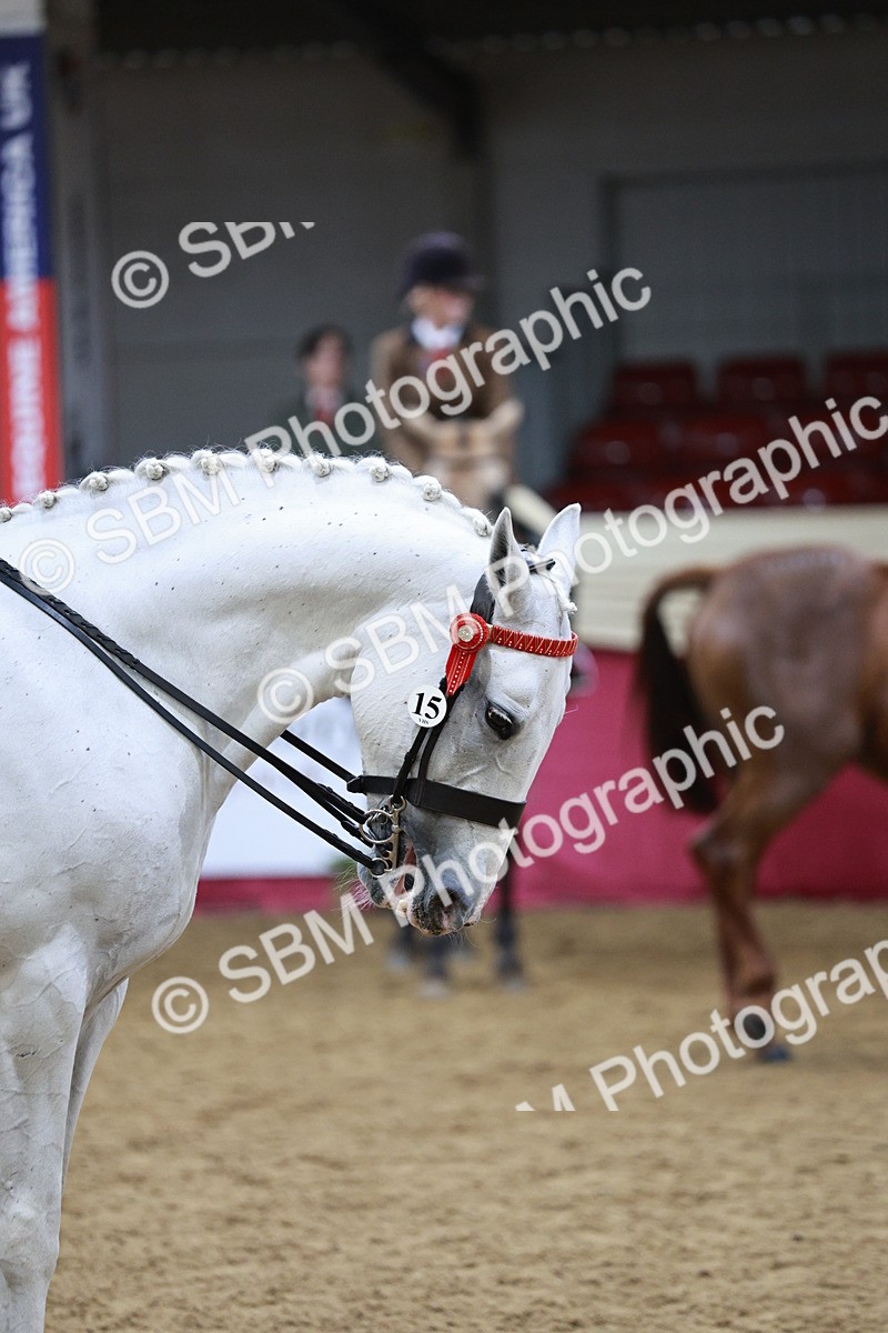 SBM_03470 - Class 6A Area Ridden Pre-Vet