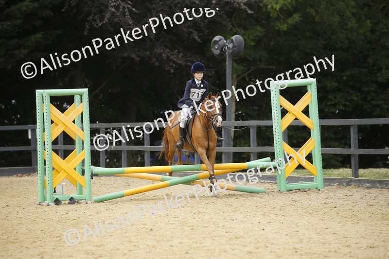 20250622-5936 - 60cm