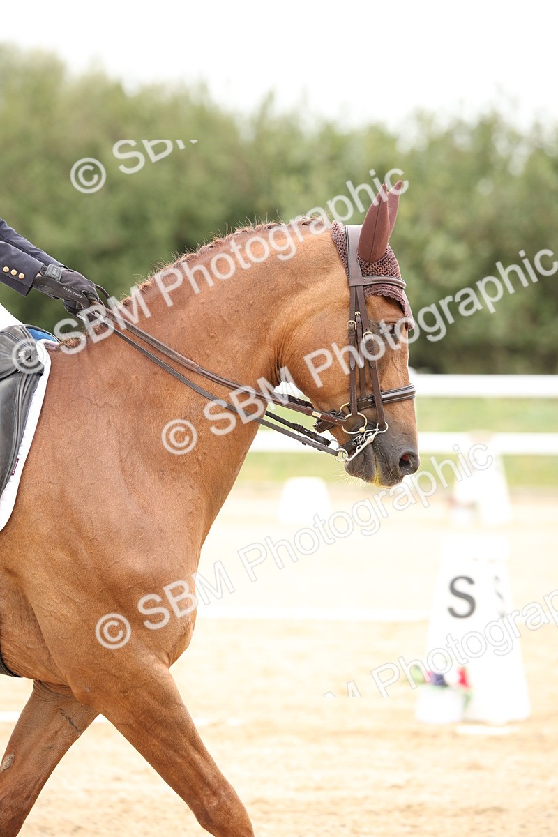 SBM_020202 - Class 26 - PSG Silver