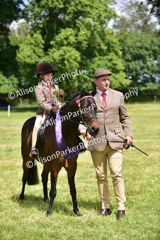 20260614-1414 - Class 11b - Lead Rein Pony (Plaited)