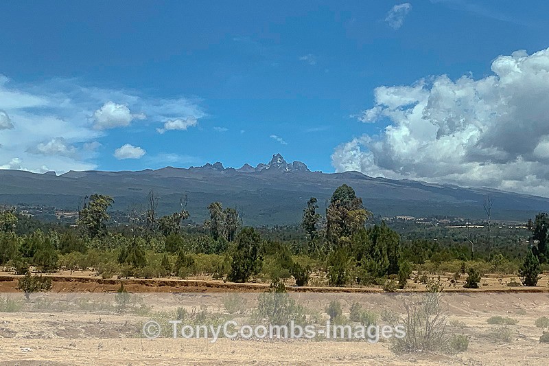 Mount Kenya - Lewa Game Conservancy