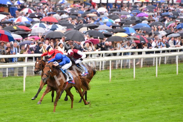 yr21082021r3-18 - Race 3 3.00pm Sky Bet City of York Stakes