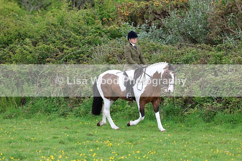 3E7A1420 - Class 8: Ridden Veteran Junoir and Senior