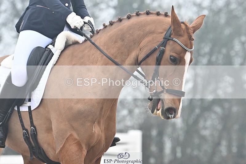 240217A-120529-02102 - 233-Samantha.Brown-Demelzas.Dream