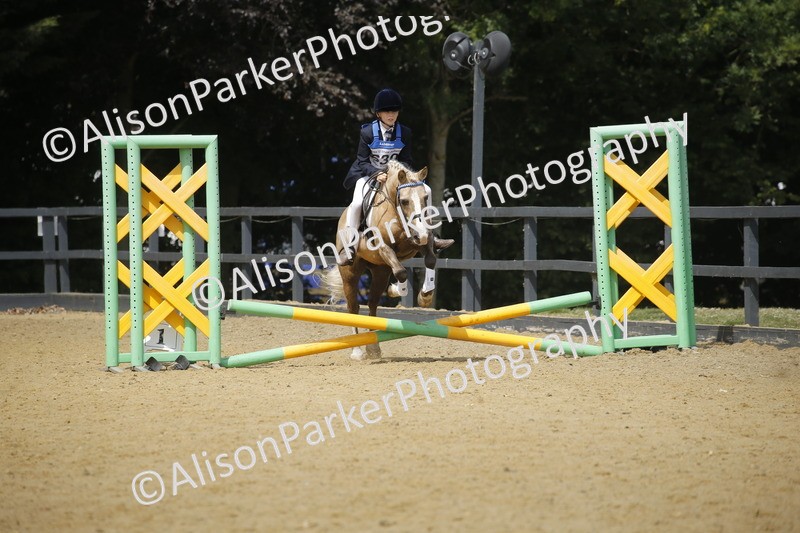 20250622-3926 - 50cm