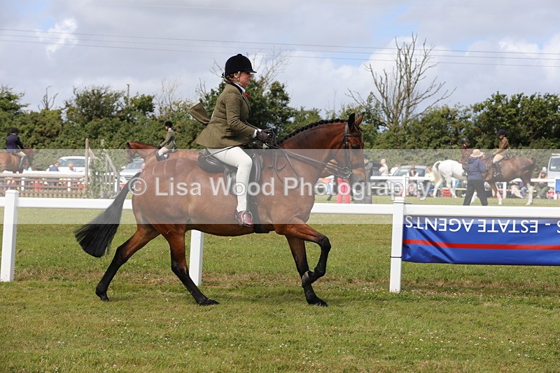 1X9A3997 - Class 32: Show Hunter Pony 153cm and under