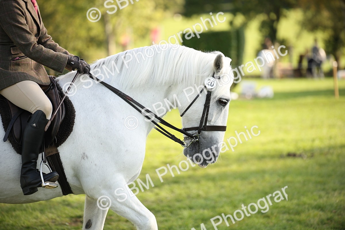 SBM_54333 - S27 - Mature Veteran - Ridden