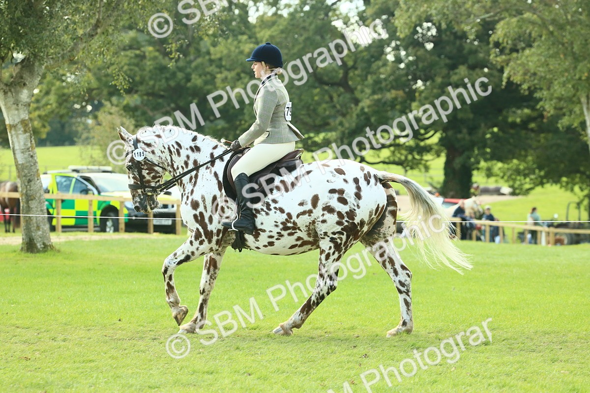 SBM_62426 - S62 - Foreign Breeds Ridden