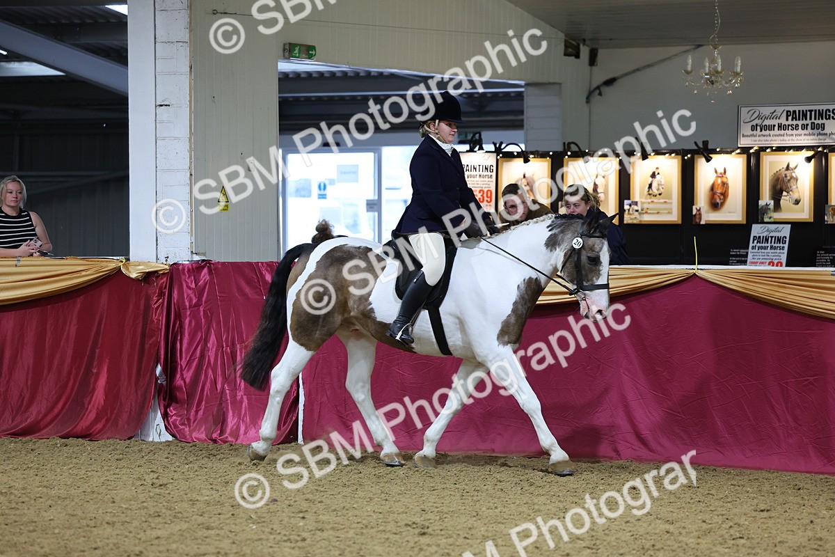 SBM_18559 - Class B Junior Champ 11-16 years