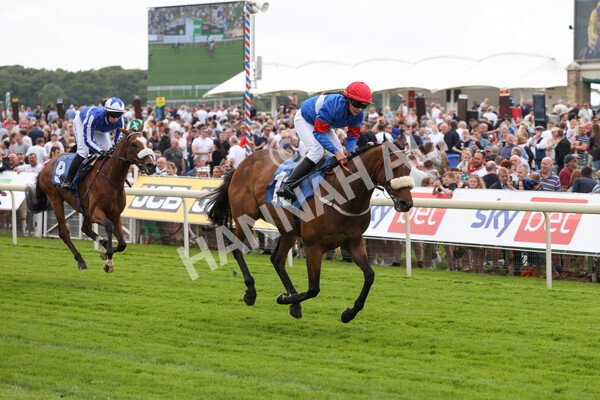 yr11062022r2-87 - Race 2 2.00pm Queen Mother's Cup