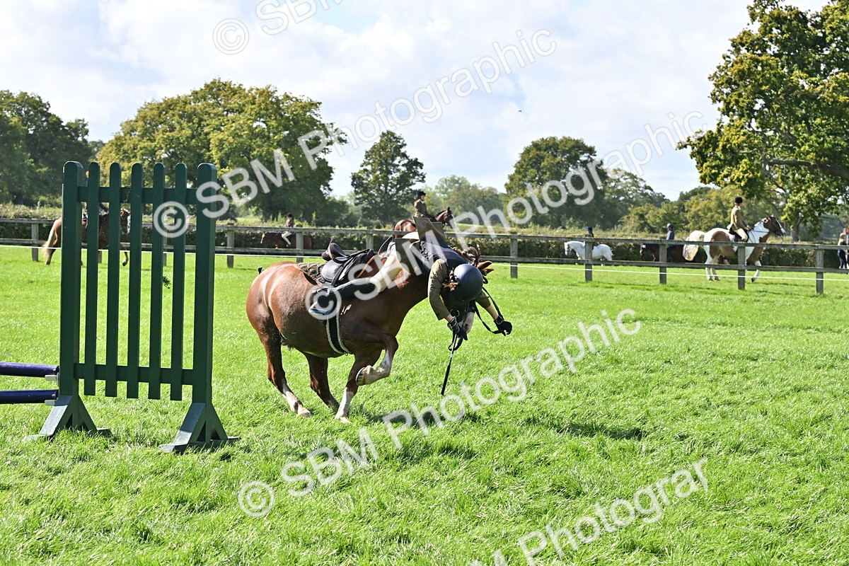 SBM_44535 - S13 - Pony Club Pony