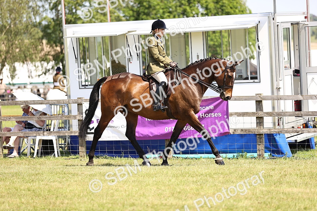 SBM_15020 - Class 79-80 - LIHS BSHA Rising Star Ridden Hunter