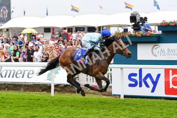 170623-Race 3-Quickthorn-0472 - Race 3 3.05pm Sky Bet Race To The Ebor Grand Cup Stakes