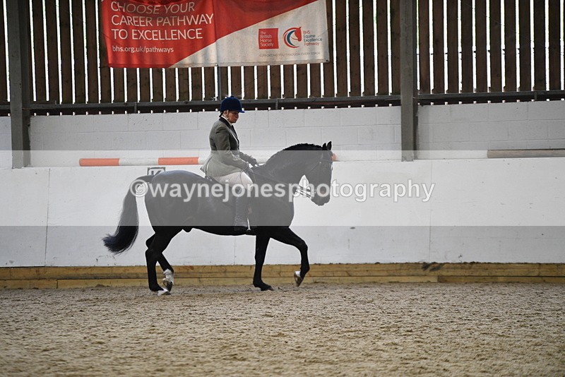 WJ5_7810 - Class 13 Ridden Part Breed