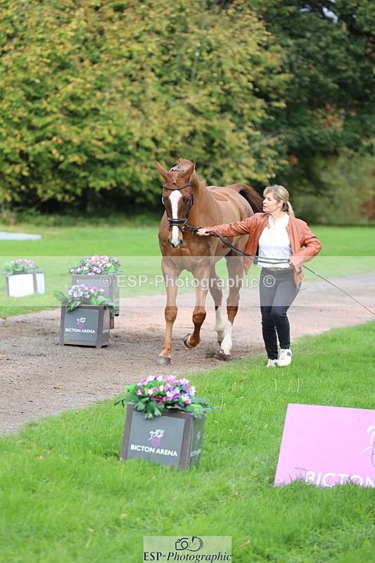 251026A-114313-25639 - G-573-Lisa.Stock